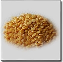 Picture of Toor Dal (Arhar Dal ) 1kg