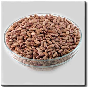 Picture of Rajma Chitkabara 1kg